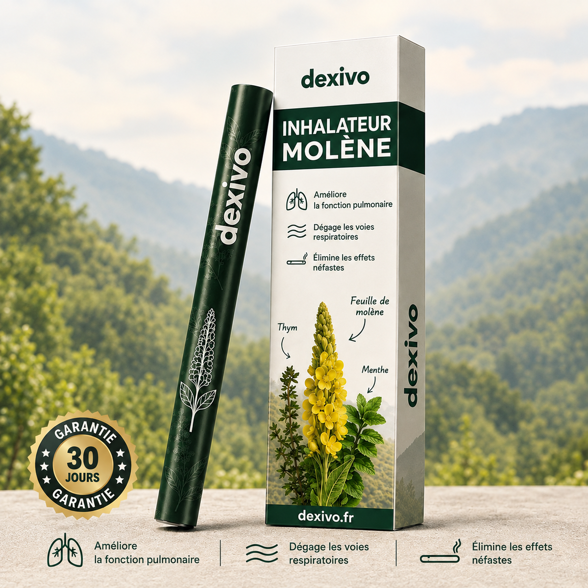 Purificateur à base de plantes