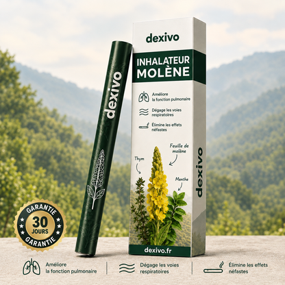 Purificateur à base de plantes