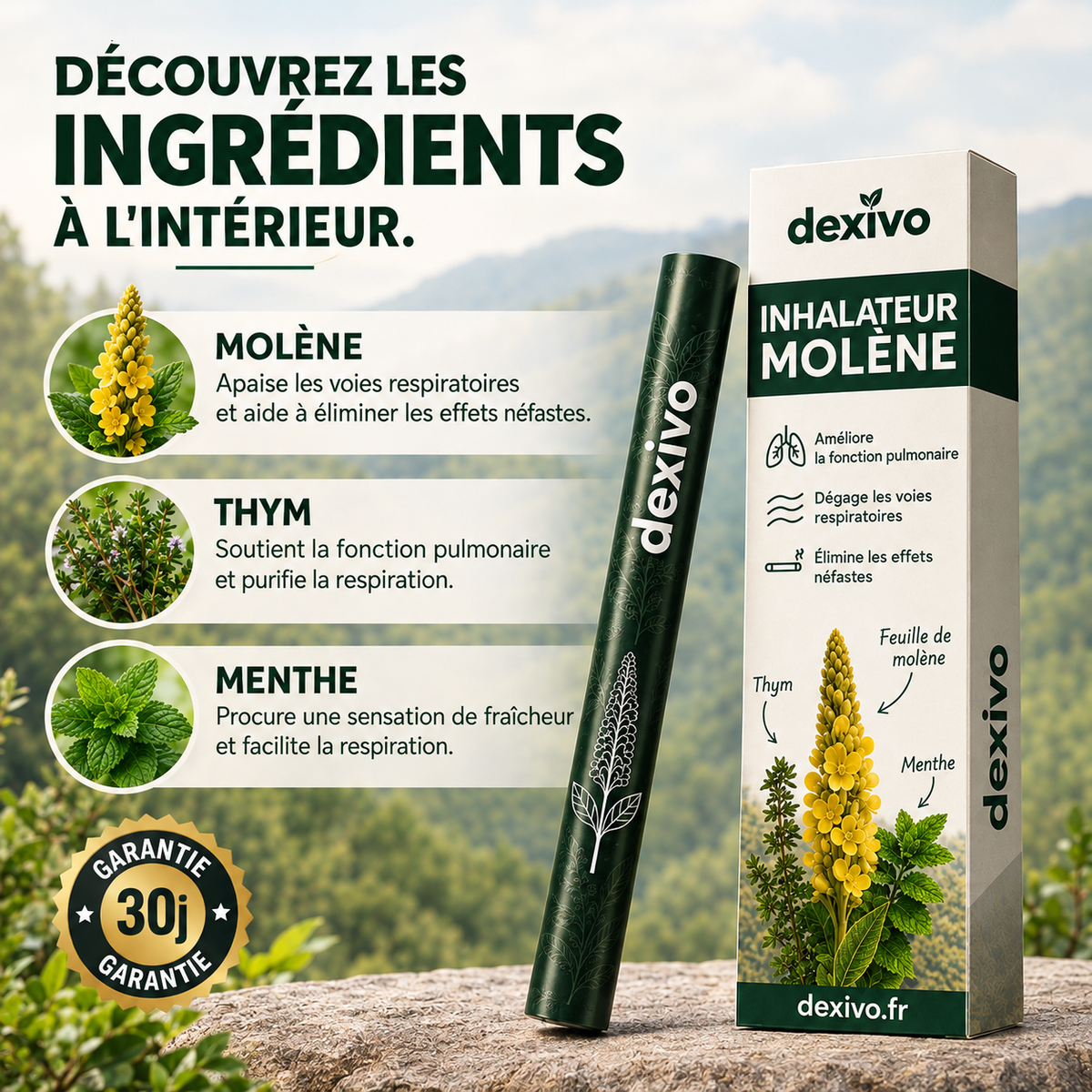 Purificateur à base de plantes