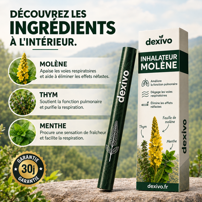 Purificateur à base de plantes