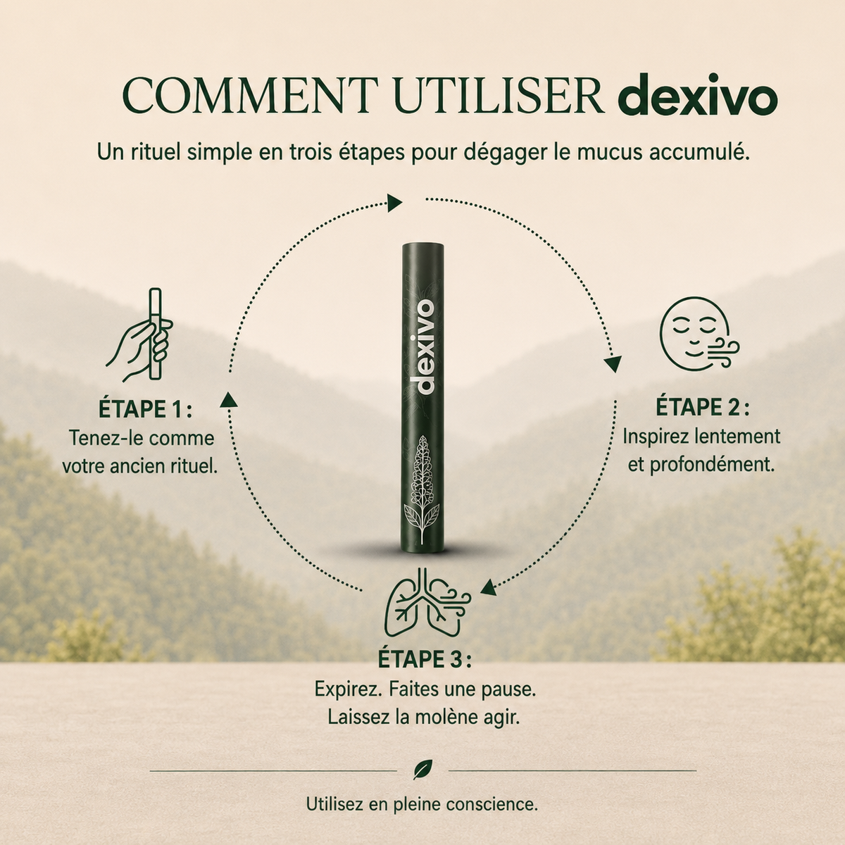 Purificateur à base de plantes